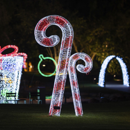 5010 | Duo Bengalas 2D | 1,95x0,25x3,00m (BARRACÃO 12)