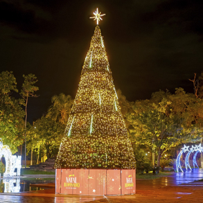 AR14000 | Arvore Luxo P H:6,00m